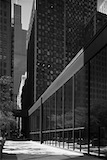 Federal Center, Chicago, USA - Ludwig Mies van der Rohe