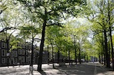 Lange Voorhout, Den Haag, NL