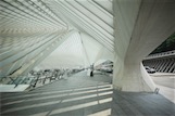 Gare-liege-guillemins, Liege, BE - Santiago Calatrava
