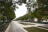 Avenue Jean-Jaures, Nimes, F