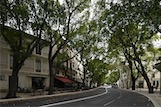 Boulevard Victor-Hugo, Nimes, F