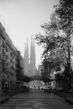Avenida de Gaudi, Barcelona, ES - Marius Quintana
